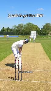 Image result for Winton Cricket Club