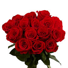 Image result for Red Rose Cc