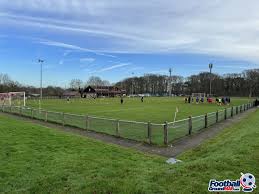 Image result for Hassocks Ladies FC