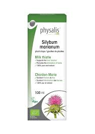 Image result for Silybum marianum