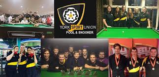 Image result for York University Pool Club