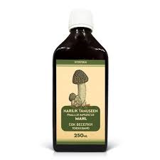 Attēlu rezultāti vaicājumam “Phallus impudicus”