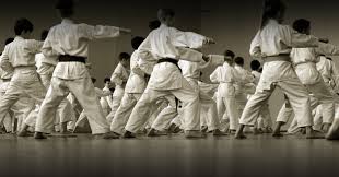 Image result for Ipswich Shotokan Karate Club