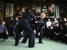 Image result for Bujinkan Cambridge Dojo