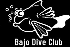 Image result for 3D Diving Club