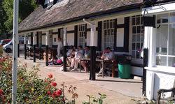 Image result for Jesters Cricket Club