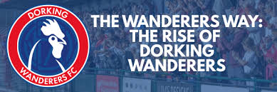 Image result for Dorking Wanderers F C