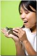 Red-Eared Slider Care Sheet. red-eared slider, RES The scientific name for a ... - red-eared-slider