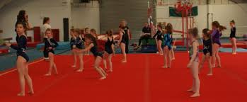 Image result for Buckley Girls Gymnastic Club