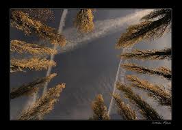 Herbsimpressionen 1 - Bild \u0026amp; Foto von Daniel Mikus aus Bäume ...