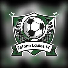 Image result for Eston Ladies Badminton Club