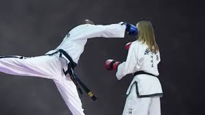 Image result for COMBAT TAEKWONDO