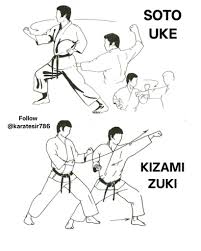 Image result for ZOKU SHOTOKAN KARATE (Baldock)