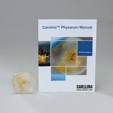 Attēlu rezultāti vaicājumam “Physarum gravidum spores”