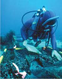 Image result for Solway Orienteers