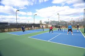 Image result for 1st New Forest Pickleball Club