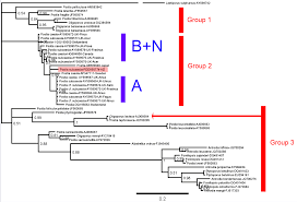 Attēlu rezultāti vaicājumam “Postia rennyi”