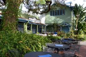 Image result for Enzian