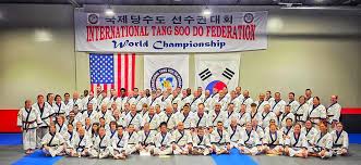 Image result for Synergy Tae Kwon Do