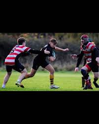 Image result for Winchester Rugby Football Club Ltd
