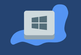 Image result for Windows key