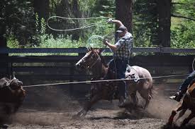 Image result for Winchester Riding Club