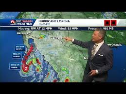 Image result for selvatici tehron