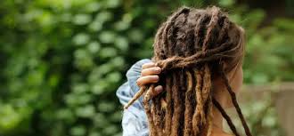 Image result for dreads