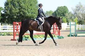 Image result for Bookham Riding School