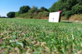 Image result for Rushmere Golf Club