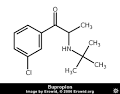 Erowid Bupropion (Wellbutrin) Vault : Chemistry