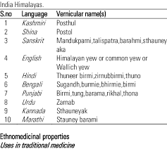 Attēlu rezultāti vaicājumam “Taxus wallichiana”