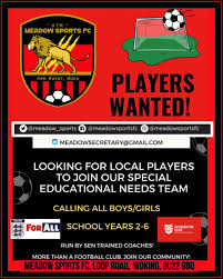 Image result for Meadow Sports Badminton Club