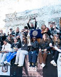 Image result for Gotham Soccer League