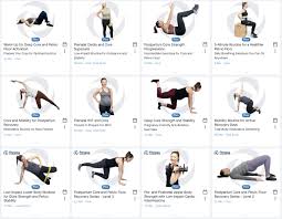 Image result for Postnatal Exercise Course