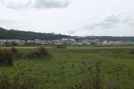 Image result for Bideford/Littleham/Westward Ho Cricket Club