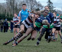 Image result for Old Reigatian Rfc