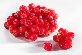 Bildergebnis für rote johannisbeeren