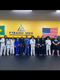 Image result for Pyramid martial arts