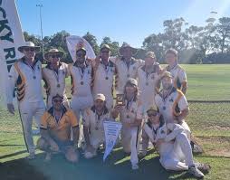 Image result for Capel Cricket Club