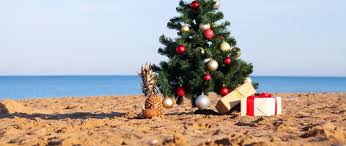 Image result for weihnachten in australien
