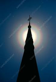 Attēlu rezultāti vaicājumam “pollen corona”