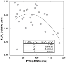 Attēlu rezultāti vaicājumam “Saussurea esthonica leaf”