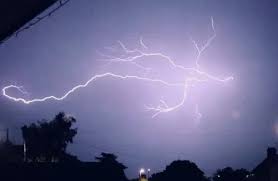 Image result for Leicester Lightning