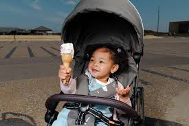 Image result for Easywalker QTRO with Carrycot Seal and Heidi Klum