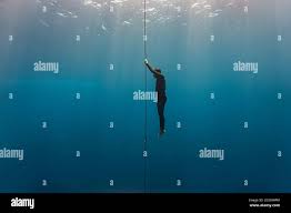 Image result for Diveline