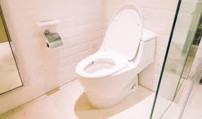 Image result for german toilet