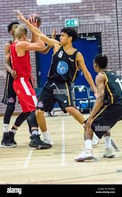 Image result for Essex Leopards