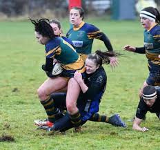 Image result for Halifax RUFC