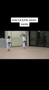 Image result for Kyomeikai Karate Club
